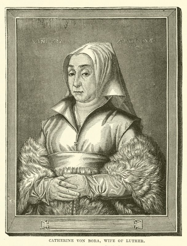 Catherine von Bora, Wife of Luther by English School