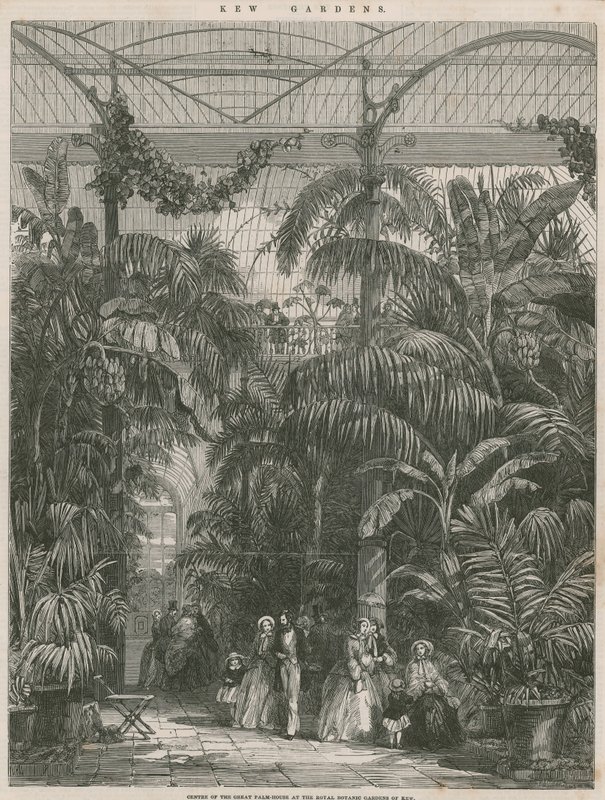 Centre of the Great Palm House at the Royal Botanic Gardens of Kew by English School