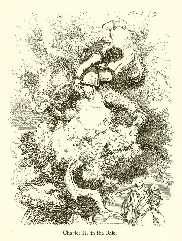 Charles II in the Oak by English School