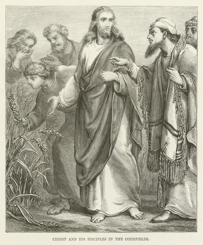 Christ and His Disciples in the Cornfields by English School