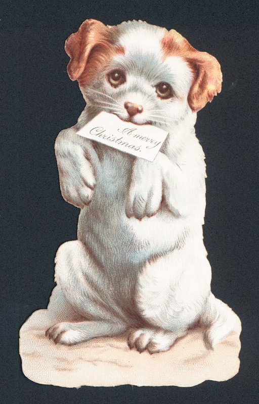 Christmas card with puppy carrying card by English School
