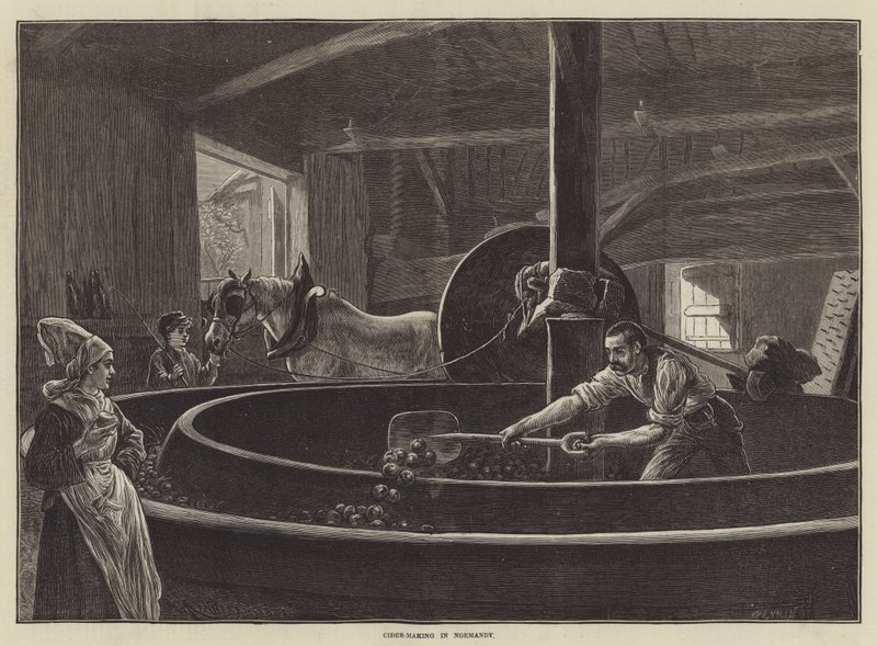 Cider-Making in Normandy by English School