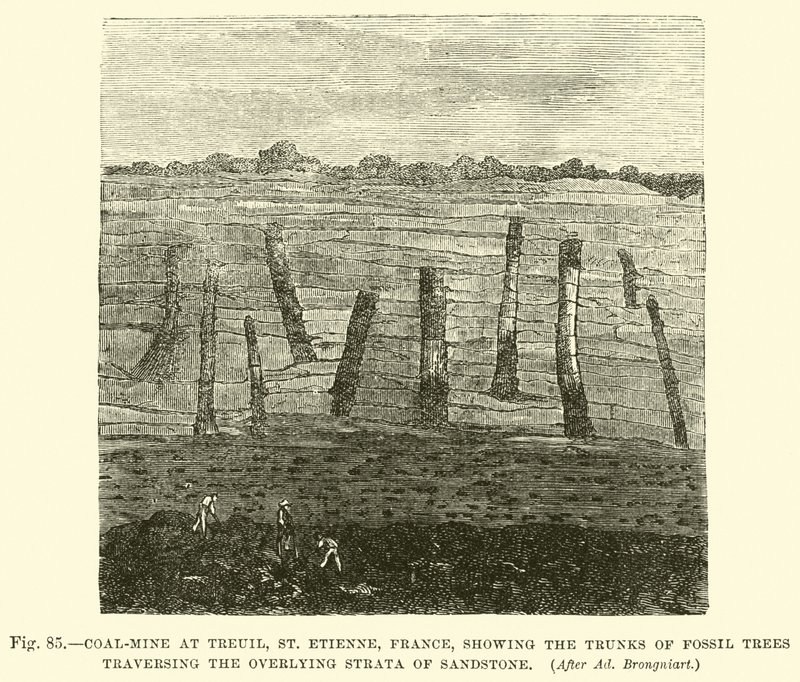 Coal-Mine at Treuil, St Etienne, France, Showing the Trunks of Fossil Trees Traversing the Overlying Strata of Sandstone by English School