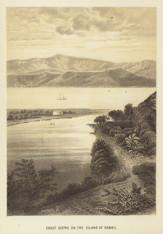 Coast scene on the Island of Hawaii by English School