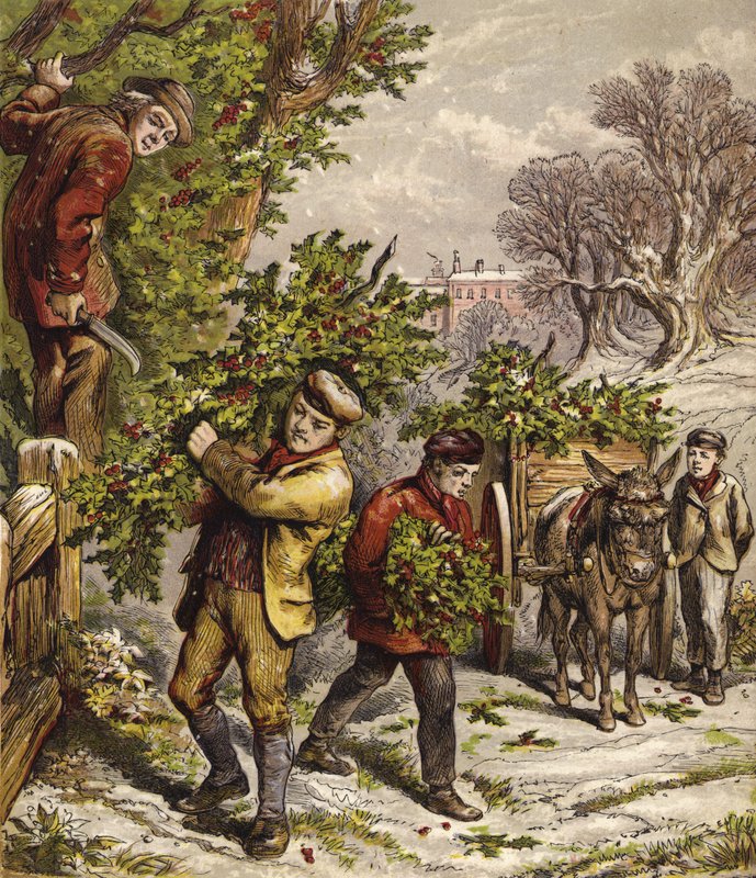 Collecting Holly by English School