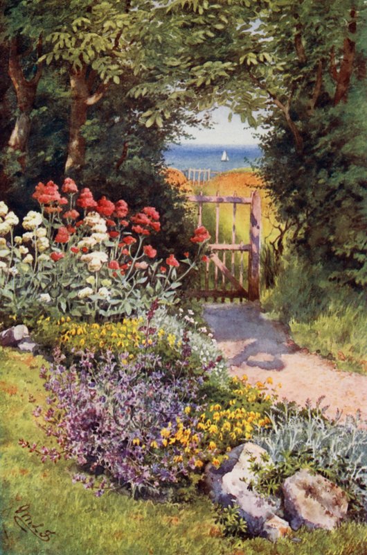 Colour in the Herb-garden by English School