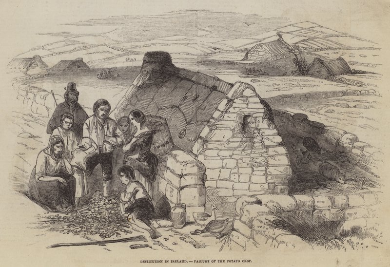 Destitution in Ireland, Failure of the Potato Crop by English School