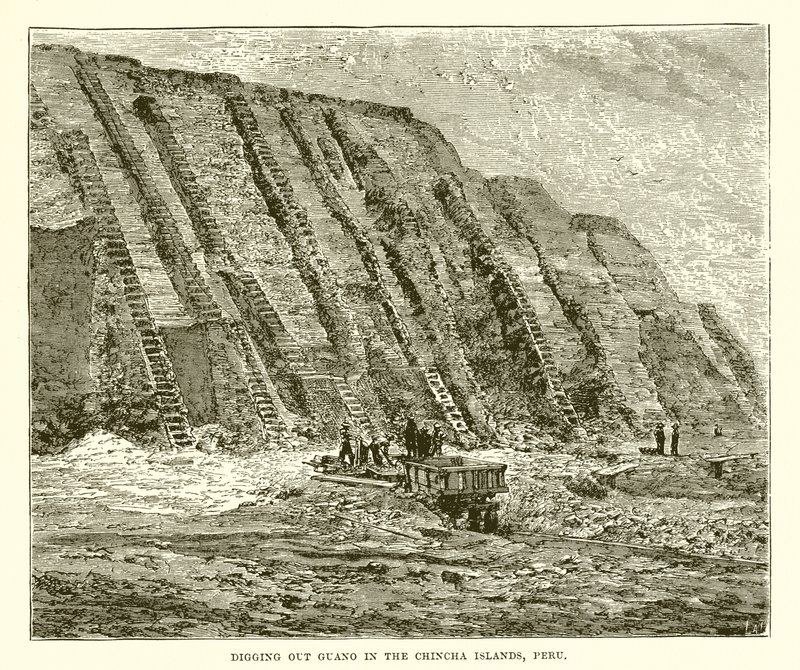 Digging out Guano in the Chincha Islands, Peru by English School