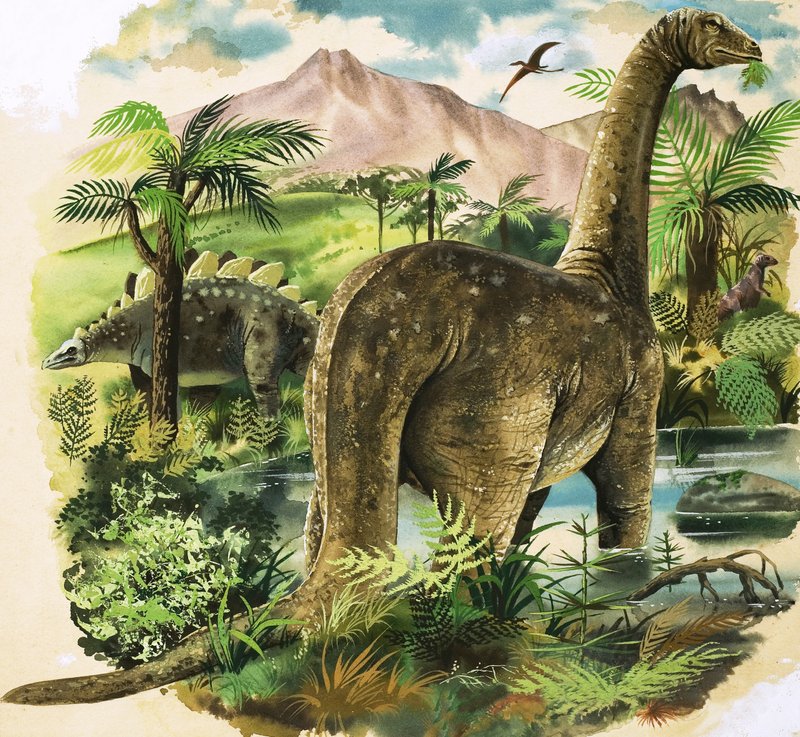 Dinosaurs by English School