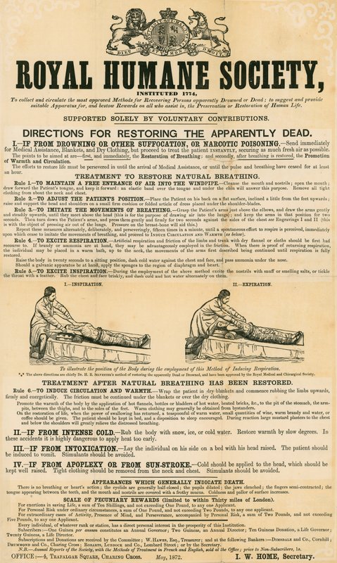 Directions for Restoring the Apparently Dead; Issued by the Royal Humane Society, May 1872 by English School
