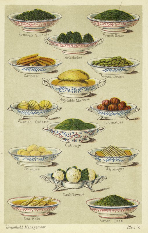 Dishes of Vegetables by English School