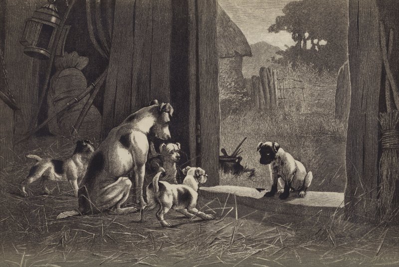Dog by English School