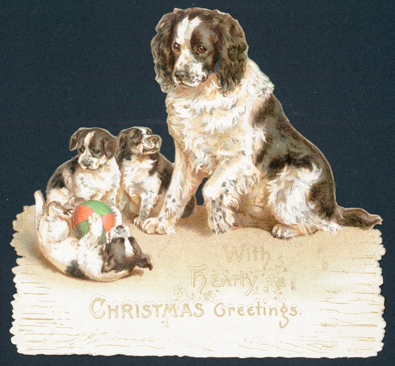 Dog and Puppies by English School