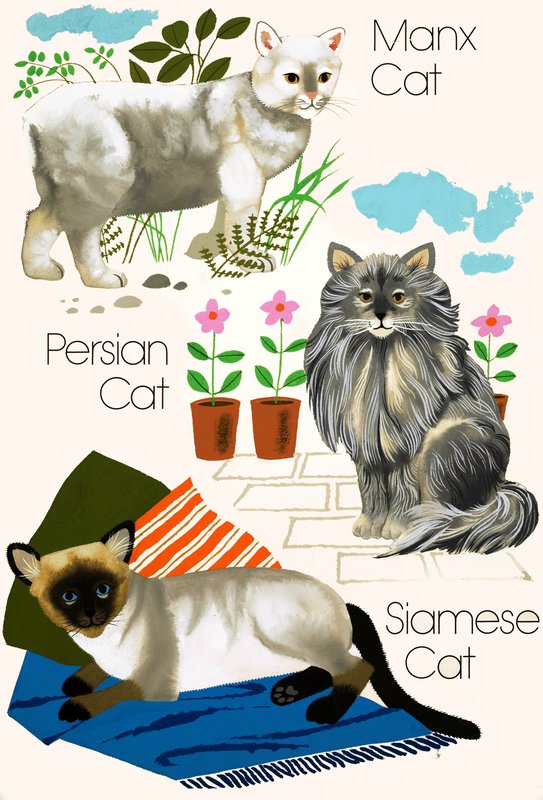 Domestic Cats by English School