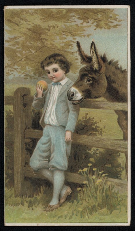 Donkey watching a boy with an apple, greetings card by English School