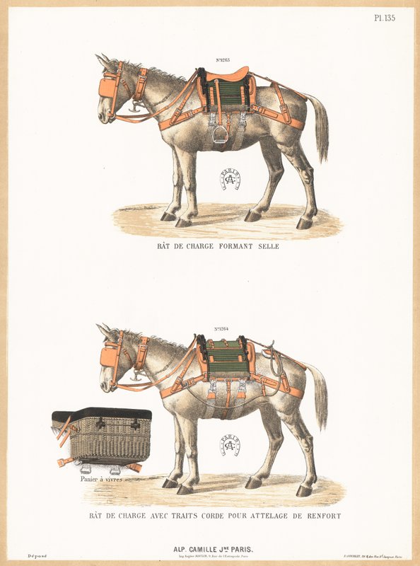 Donkeys wearing saddles by English School