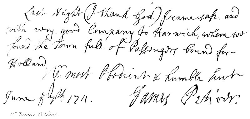 Dr James Petiver by English School