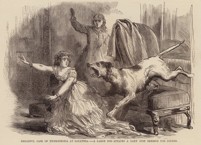 Dreadful case of hydrophobia at Saratoga, a large dog attacks a lady just dressed for dinner by English School