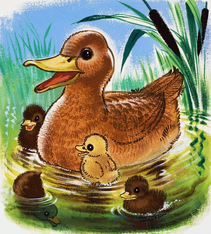 Ducks by English School