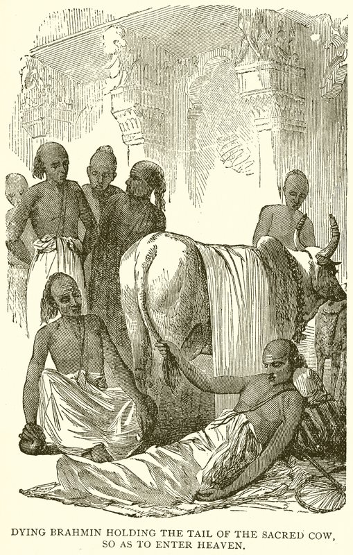 Dying Brahmin Holding the Tail of the Sacred Cow, So as to Enter Heaven by English School