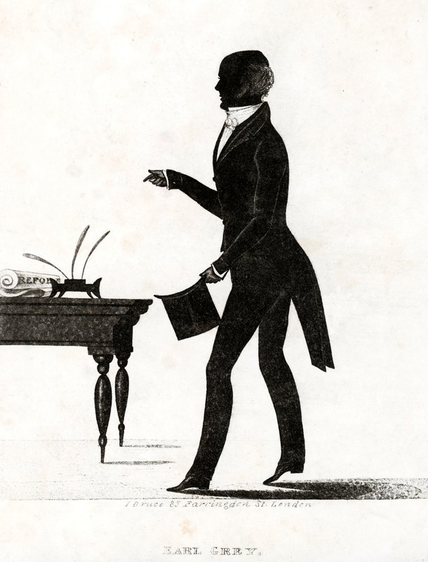 Earl Grey, British Whig Politician and Prime Minister who Introduced the Great Reform Act of 1832 by English School