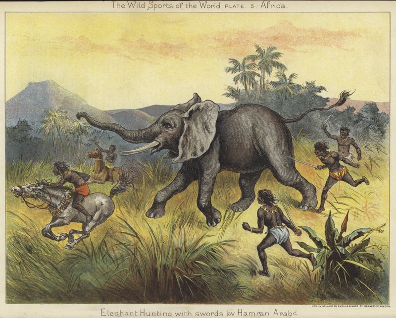 Elephant Hunting with Swords by Hamran Arabs by English School