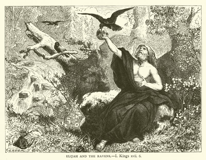 Elijah and the Ravens, I, Kings, xvii, 6 by English School