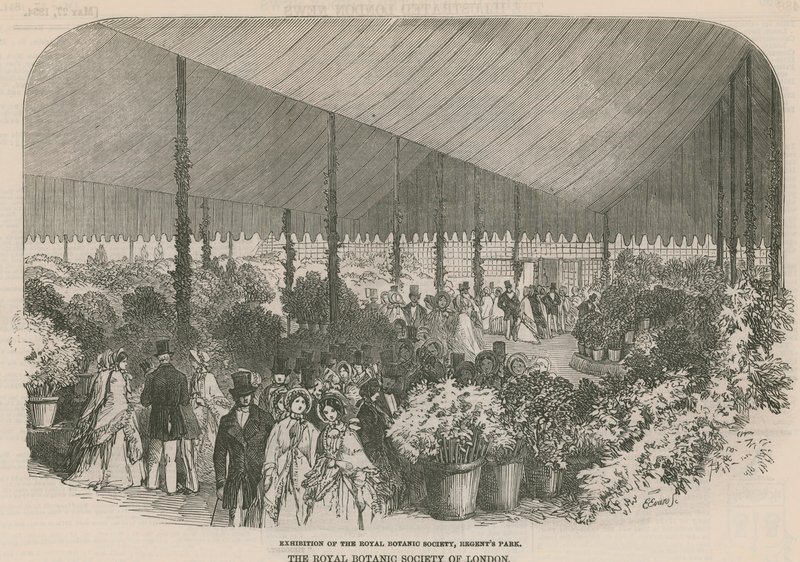 Exhibition of the Royal Botanic Society by English School