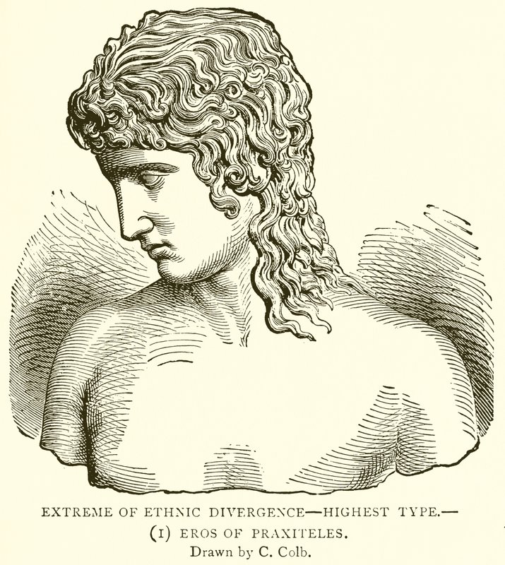 Extreme of Ethnic Divergence--Highest Type (Eros of Praxiteles) by English School