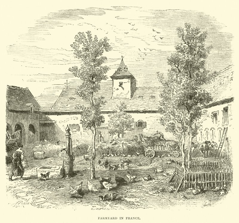 Farmyard in France by English School