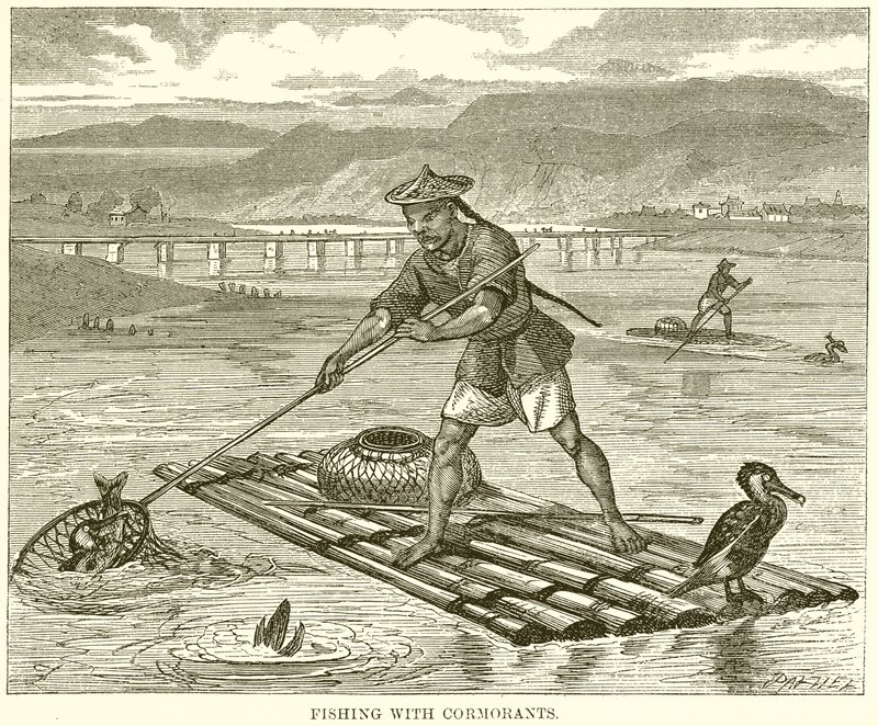 Fishing with Cormorants by English School