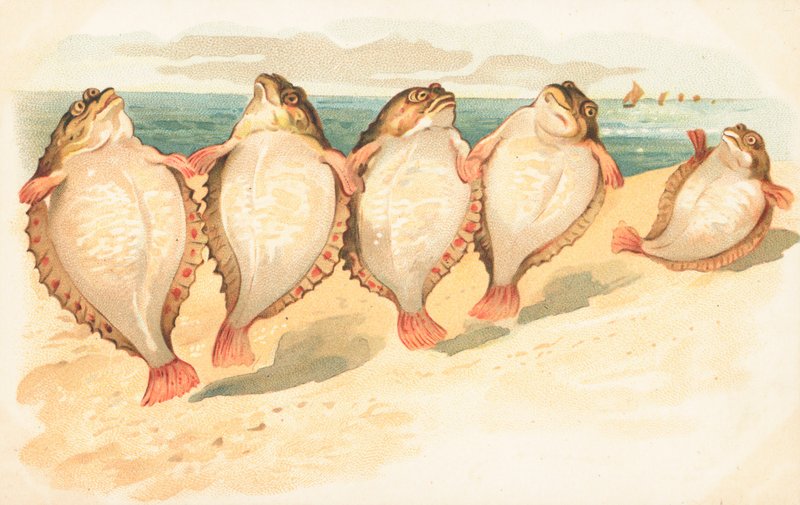 Five Flatfish Dancing on a Beach by English School