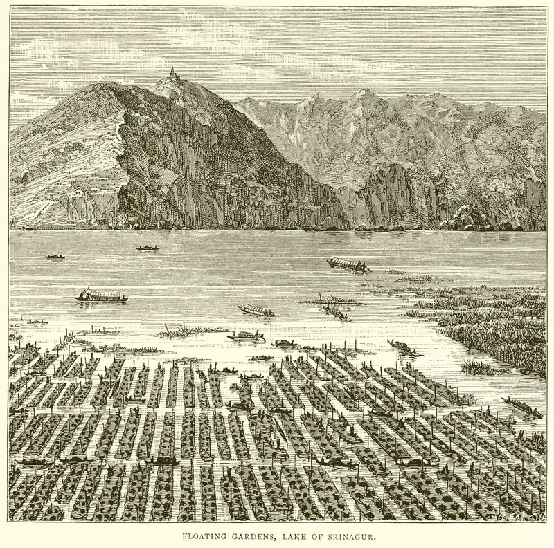 Floating Gardens, Lake of Srinagar by English School