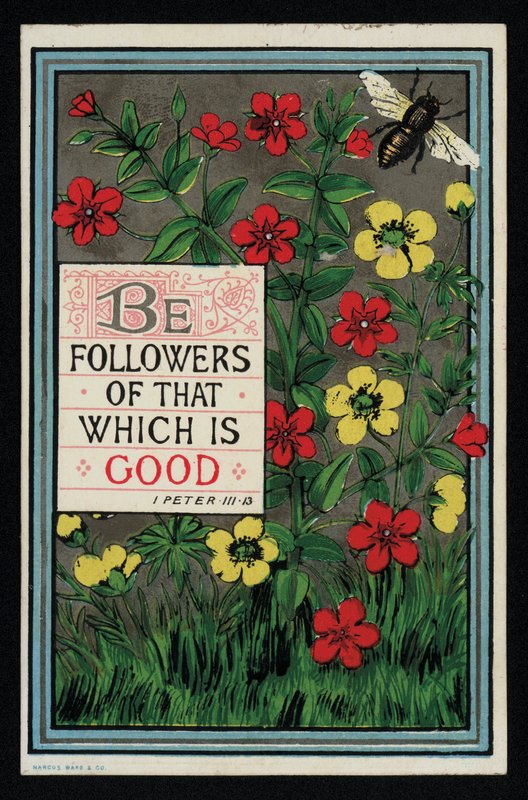 Flowers with a Bible Verse from 1 Peter 3:13, Greetings Card by English School