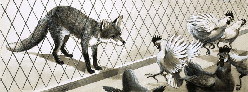 Fox eying chickens by English School