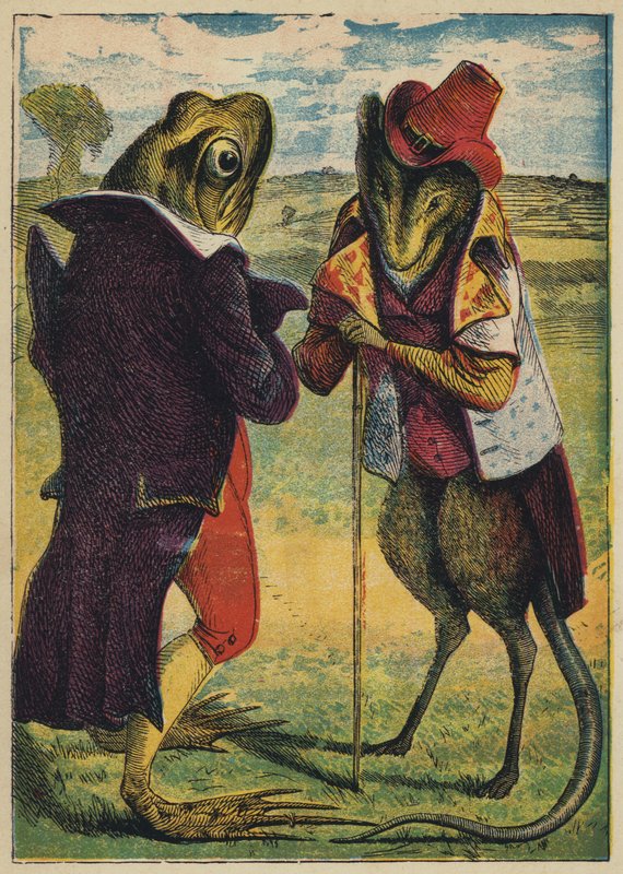 Froggy Meets the Rat by English School