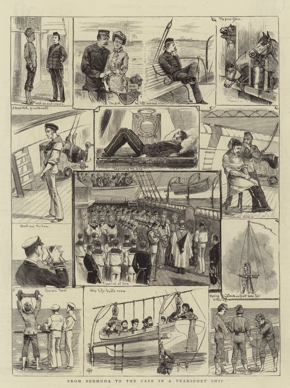 From Bermuda to the Cape in a Transport Ship by English School