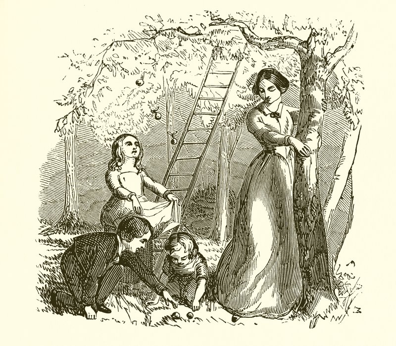 Gathering Apples by English School