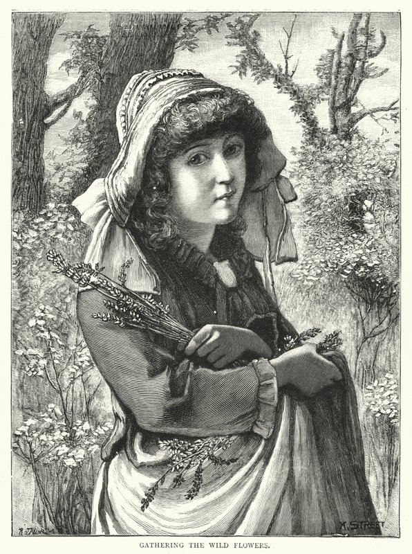 Gathering the wild flowers by English School