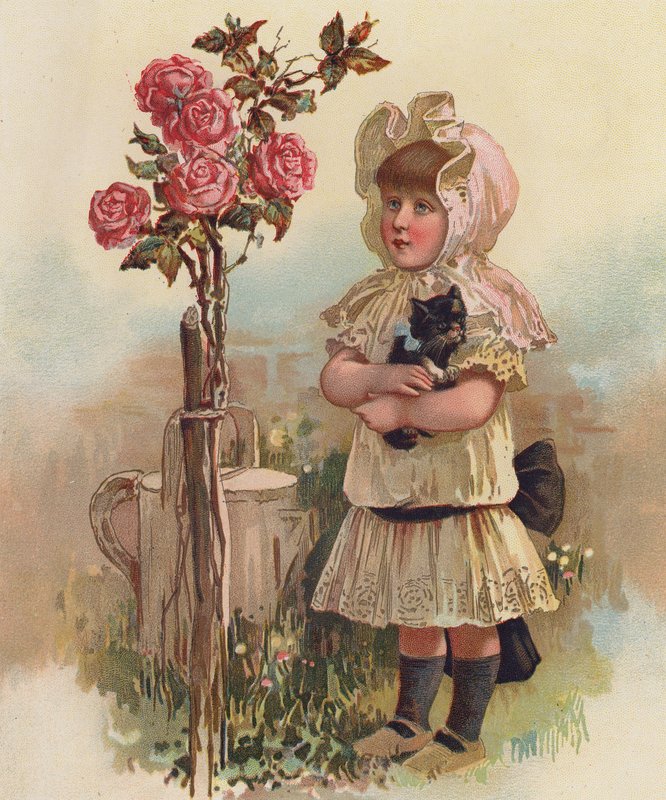 Girl with a cat and a rose tree by English School