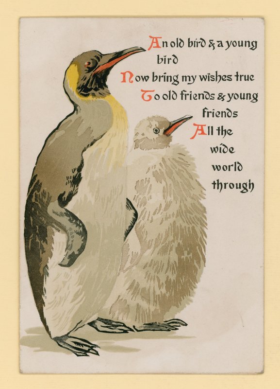 Greetings Card, with Penguins by English School