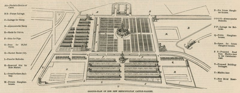 Ground plan of the new Metropolitan Cattle Market, Copenhagen Fields by English School