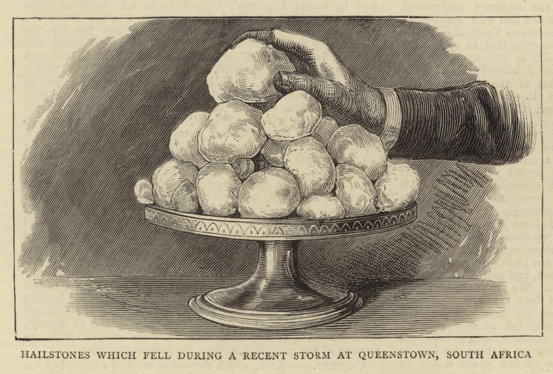 Hailstones which fell during a Recent Storm at Queenstown, South Africa by English School