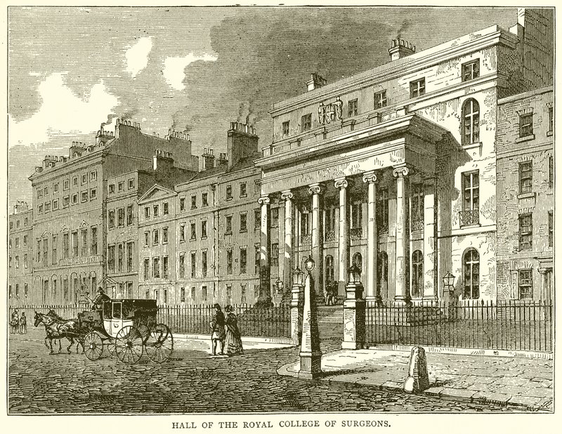 Hall of the Royal College of Surgeons by English School