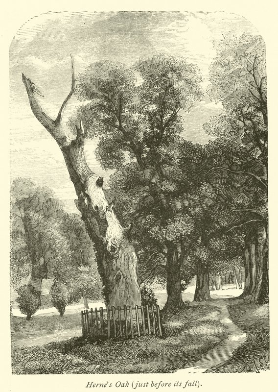 Hernes Oak, just before its fall by English School