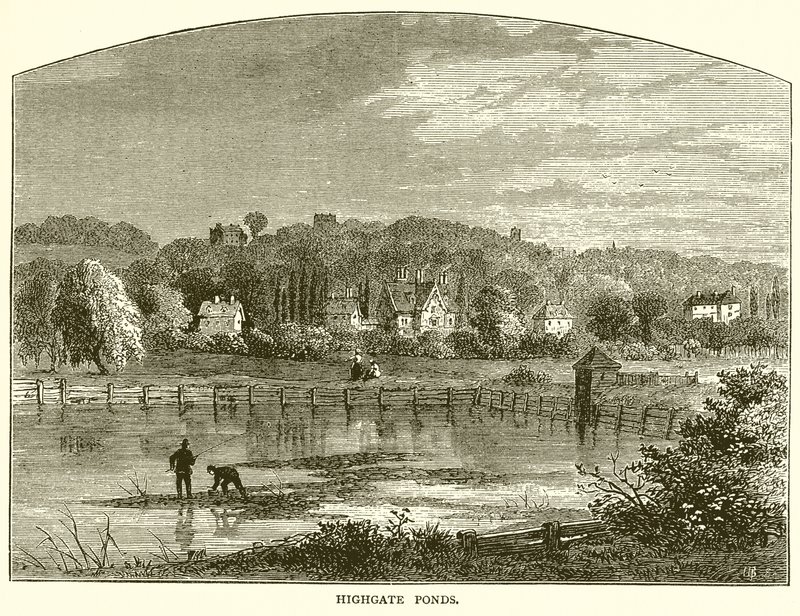 Highgate Ponds by English School