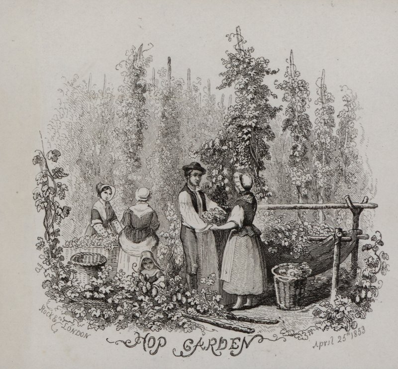Hop Garden by English School