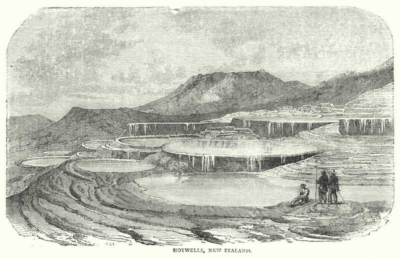 Hotwells, New Zealand (engraving) by English School