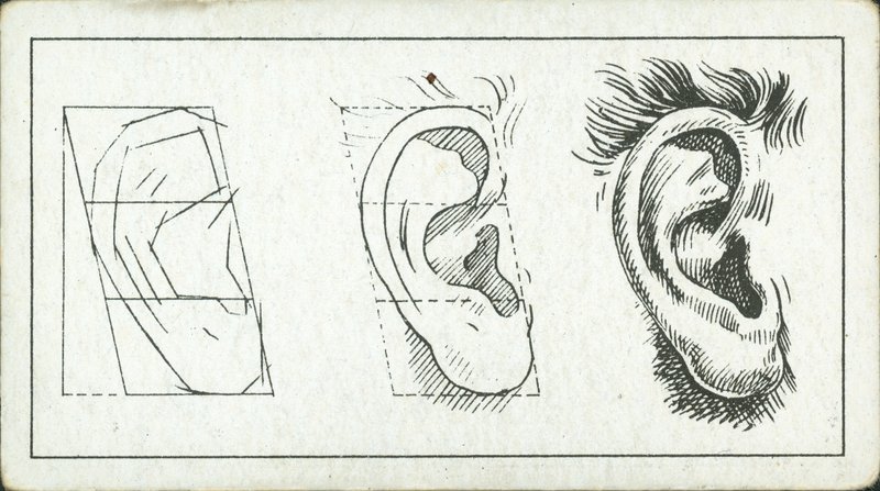 How to Sketch: The Ear by English School