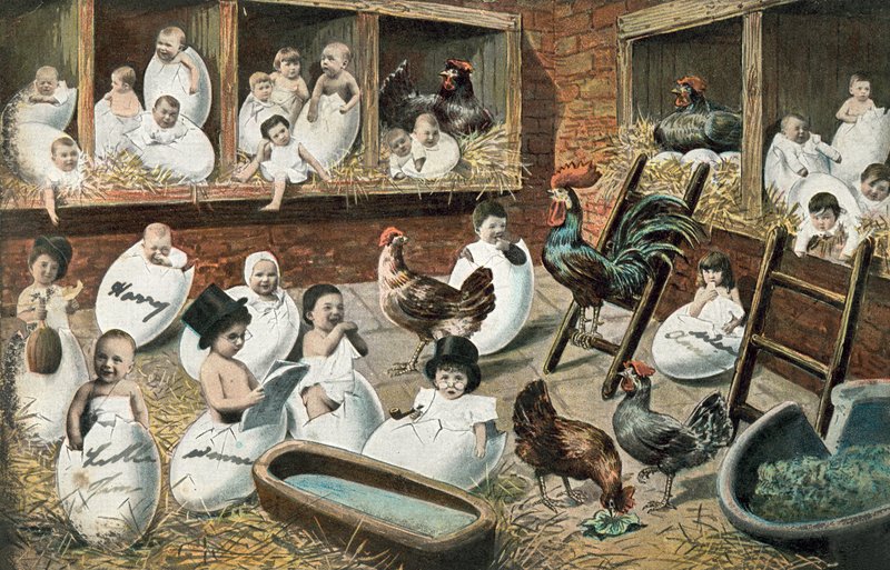 Human babies hatching from chicken eggs by English School